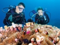 Twin Bommies, GBR