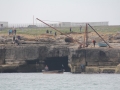 IMG_8041 (Large)